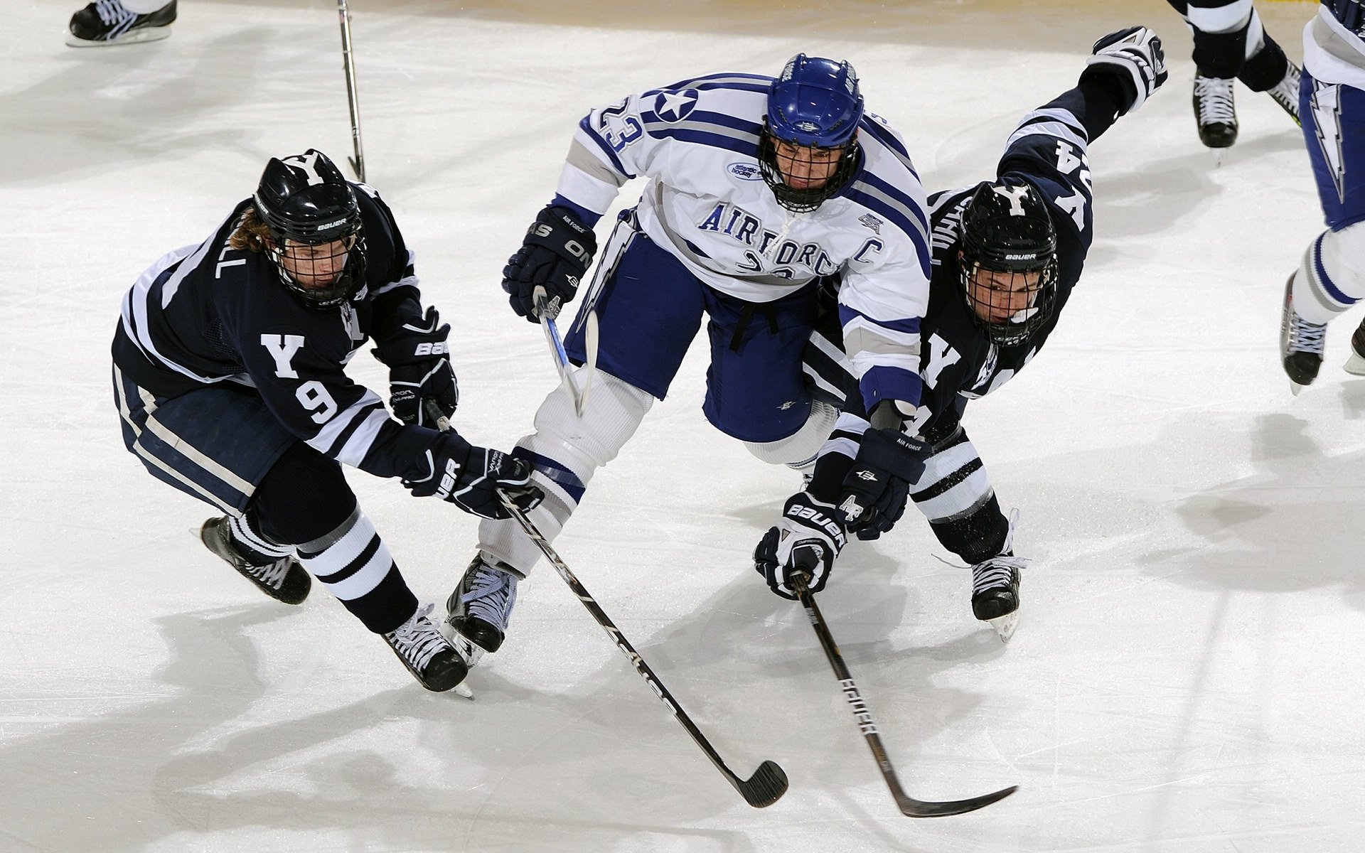 公牛公布新赛季视觉系统设计理念，公牛近况